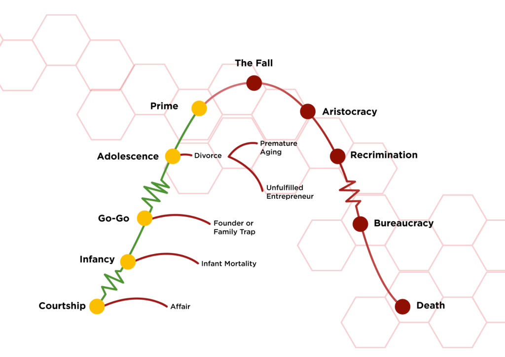 chu kì vòng đời doanh nghiệp